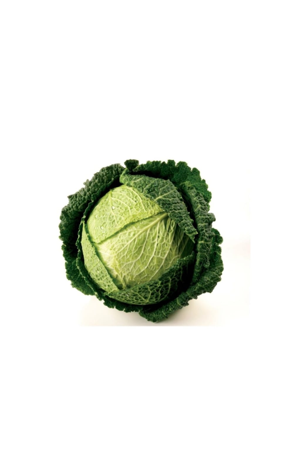SAVOY CABBAGE 12X700GRAMS