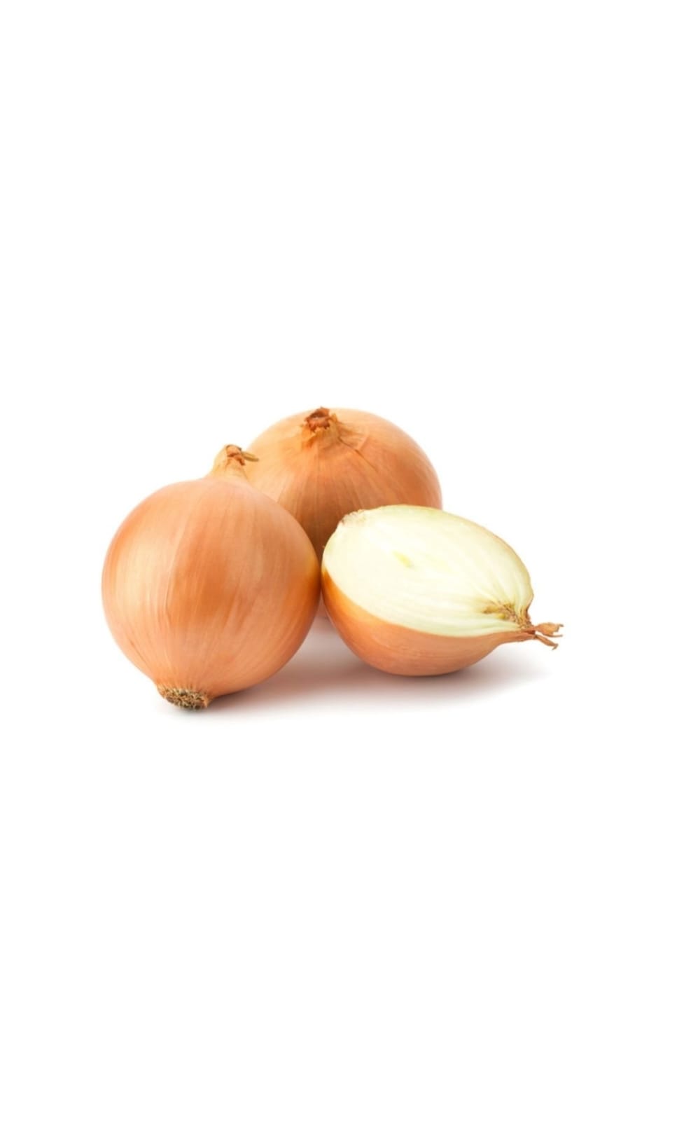SPANISH - CHILLIE ONION 1X20KG