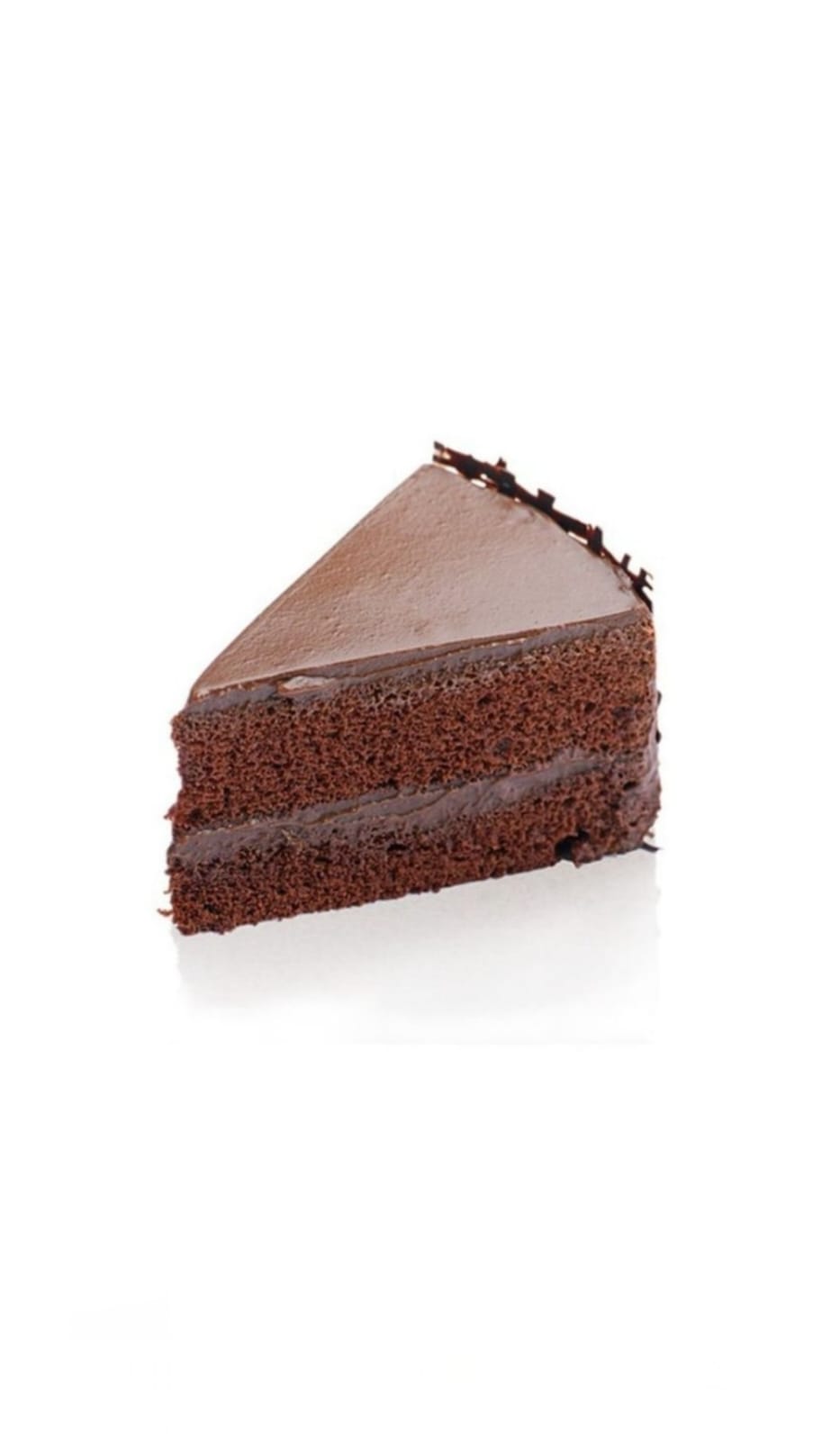 CHOCOLATE FUDGE CAKE 1X12 PTN