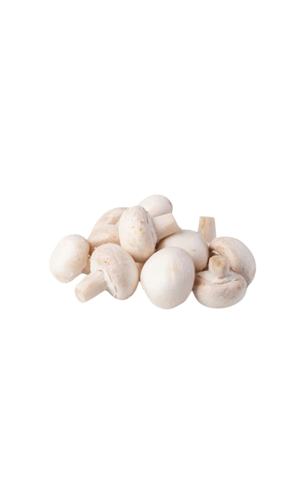 CUP MUSHROOM 1X2.27KG