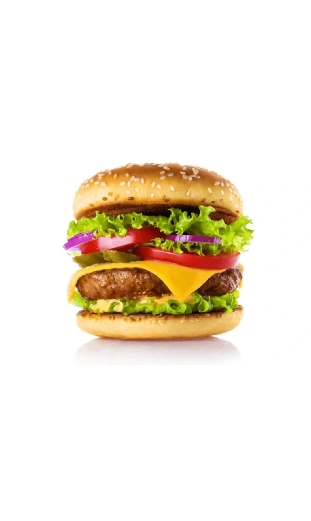 PREMIUM 4 OZ HALAL BURGER 48X113GR