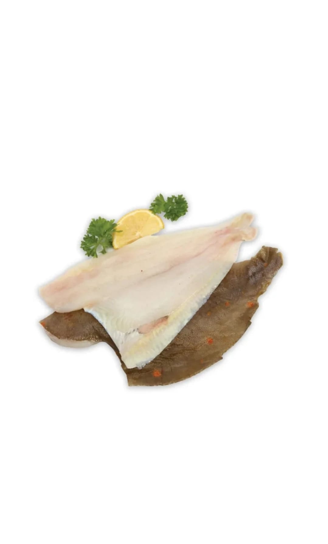 PLAICE IQF VAN DER LEE 10/12OZ